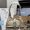 Prada 1BG580 Small Tote Bag in Leather Apricot