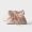 Prada 1BG586 Dada Small Bag in Nappa Leather Pink