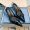 Prada 1I292O Pointed-Toe Slingback Pumps Women Patent Leather Black