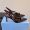 Prada 1I675O Slingback Pumps Women Patent Leather Coffee
