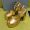 Prada 1XP48B Platform Sandals Women Nappa Leather Gold