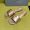Prada 1XX730 Slides 10mm Women Saffiano Patent Leather Gold