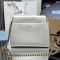 Prada 1BC263 Enchaine Mini Bag in Leather White