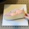 Prada 1E928N Downtown Bold Sneakers Women Nylon and Suede Pink